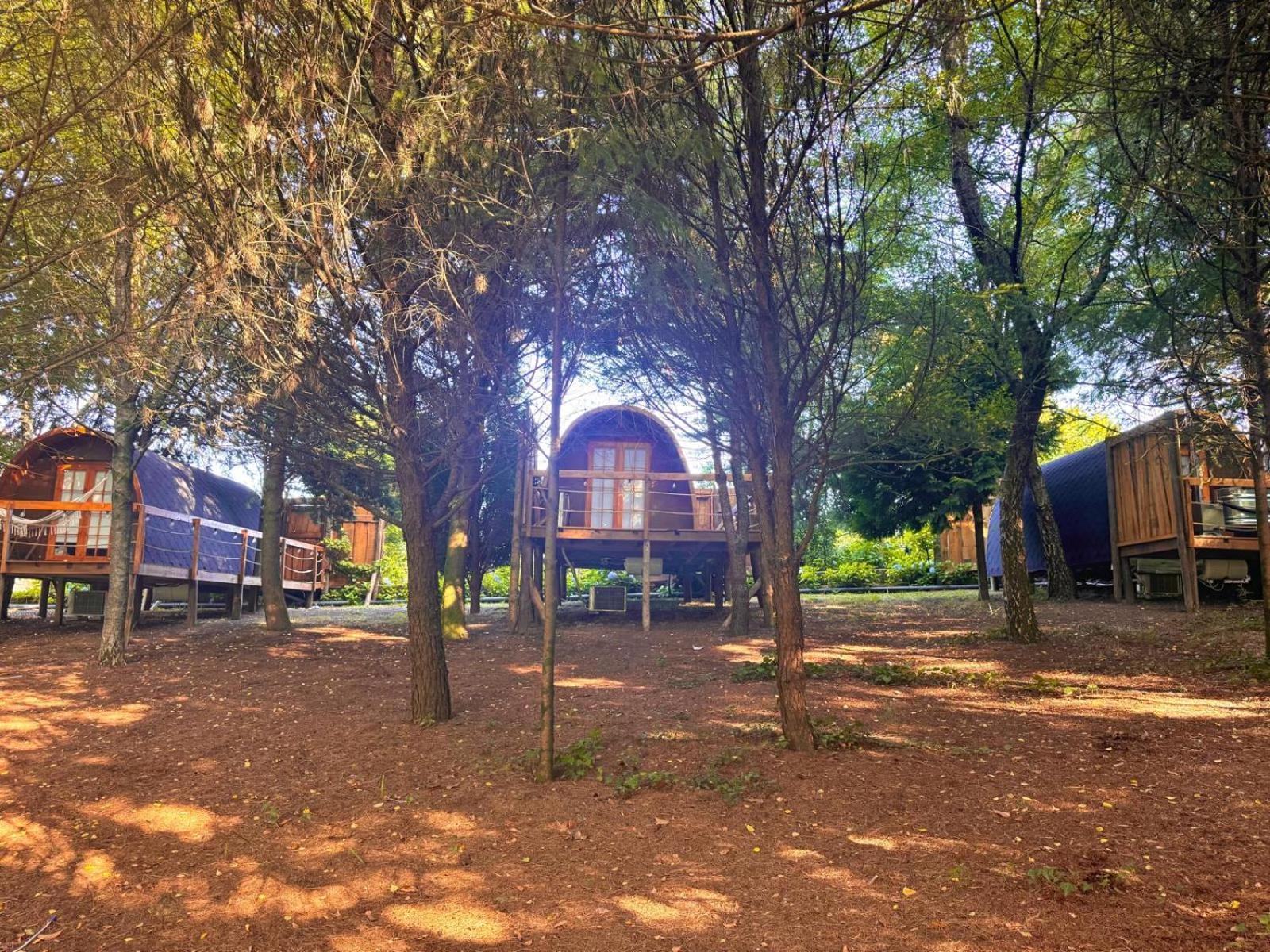 Glicinia Boutique Hotel Freamunde ภายนอก รูปภาพ