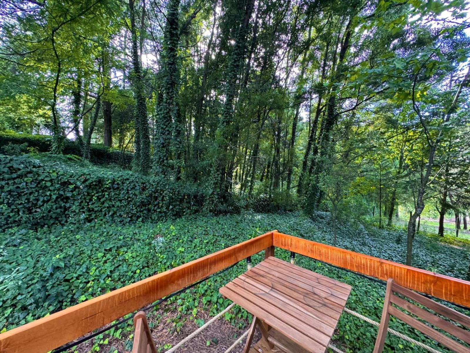 Glicinia Boutique Hotel Freamunde ภายนอก รูปภาพ