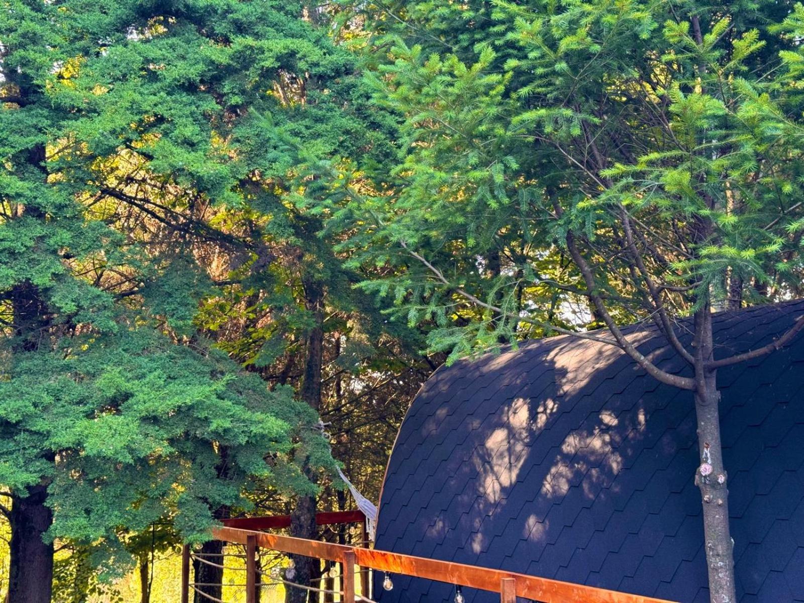 Glicinia Boutique Hotel Freamunde ภายนอก รูปภาพ